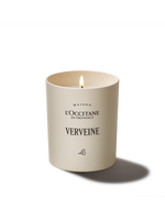 Svíčka Verveine (Verbena)