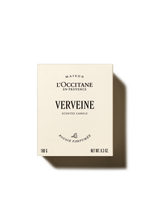 Svíčka Verveine (Verbena)