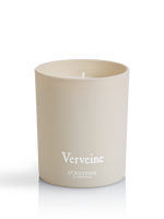 Svička Verbena 