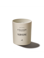 Svíčka Verveine (Verbena)