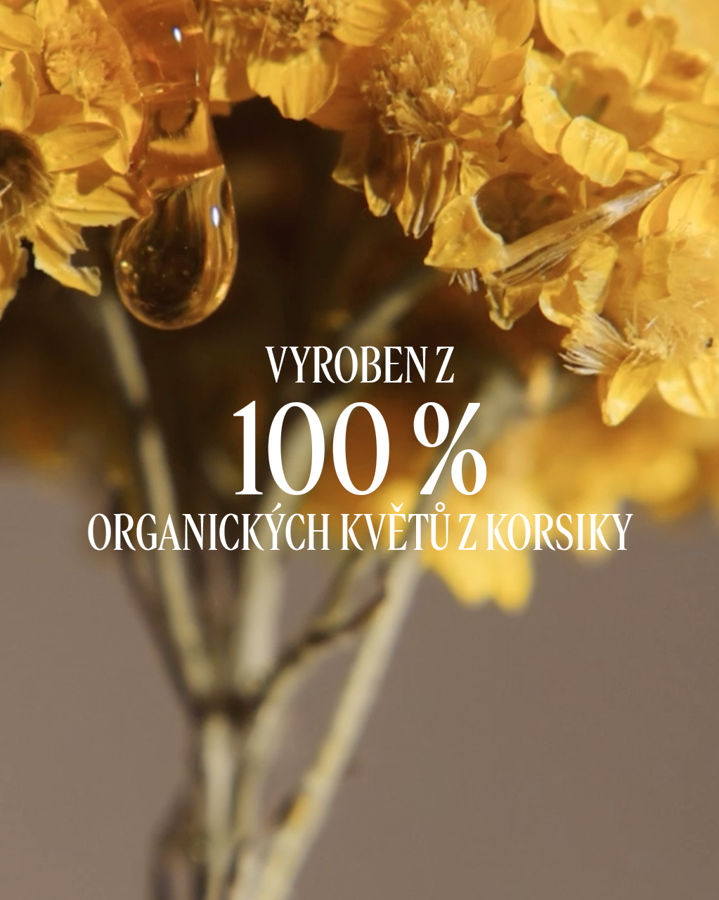 Olejové Reset sérum Slaměnka 30 ml