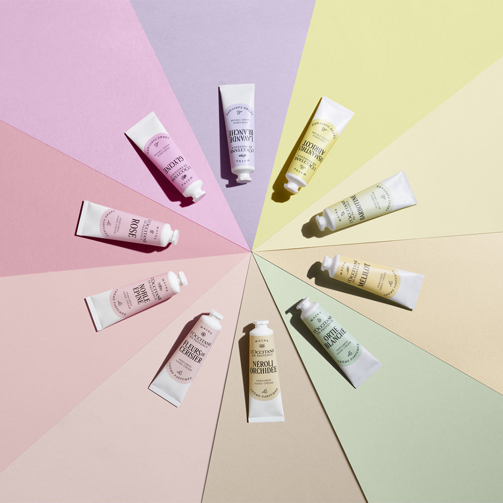 Speciální nabídka 