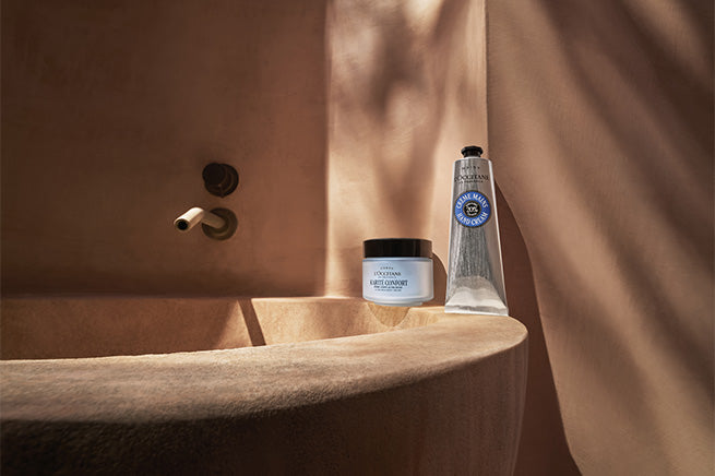 Objevte našeho favorita pro zimu