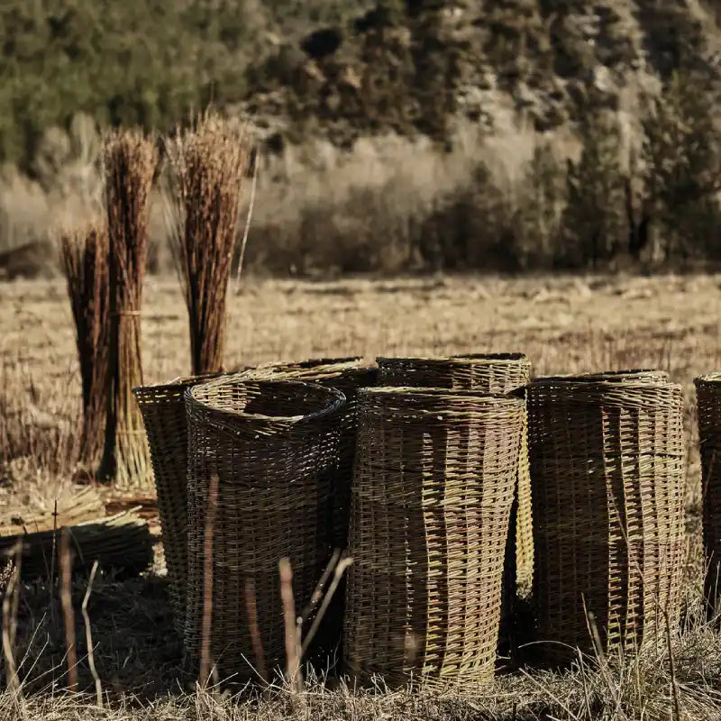 Vytváříme nové projekty, abychom se podělili o to nejlepší z Provence