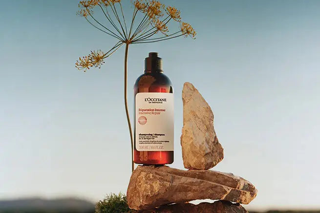 Aromachologie