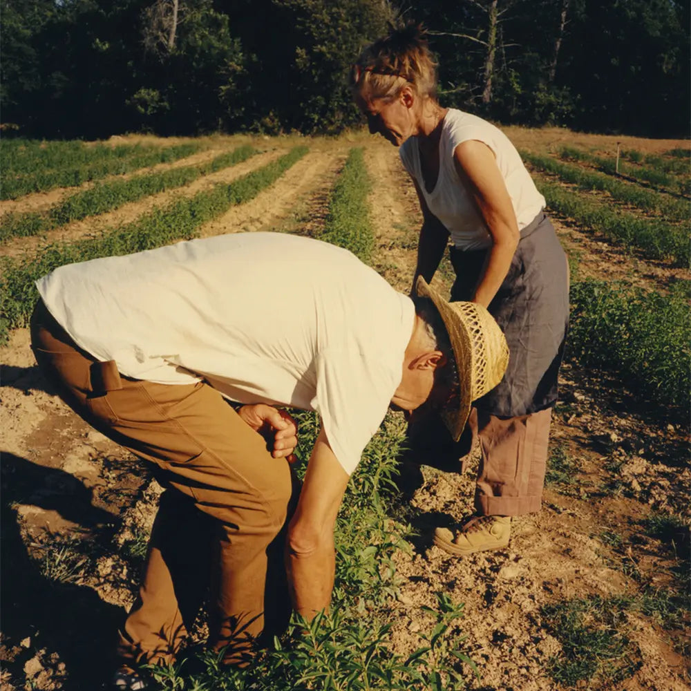 Nová rodinná tradice
